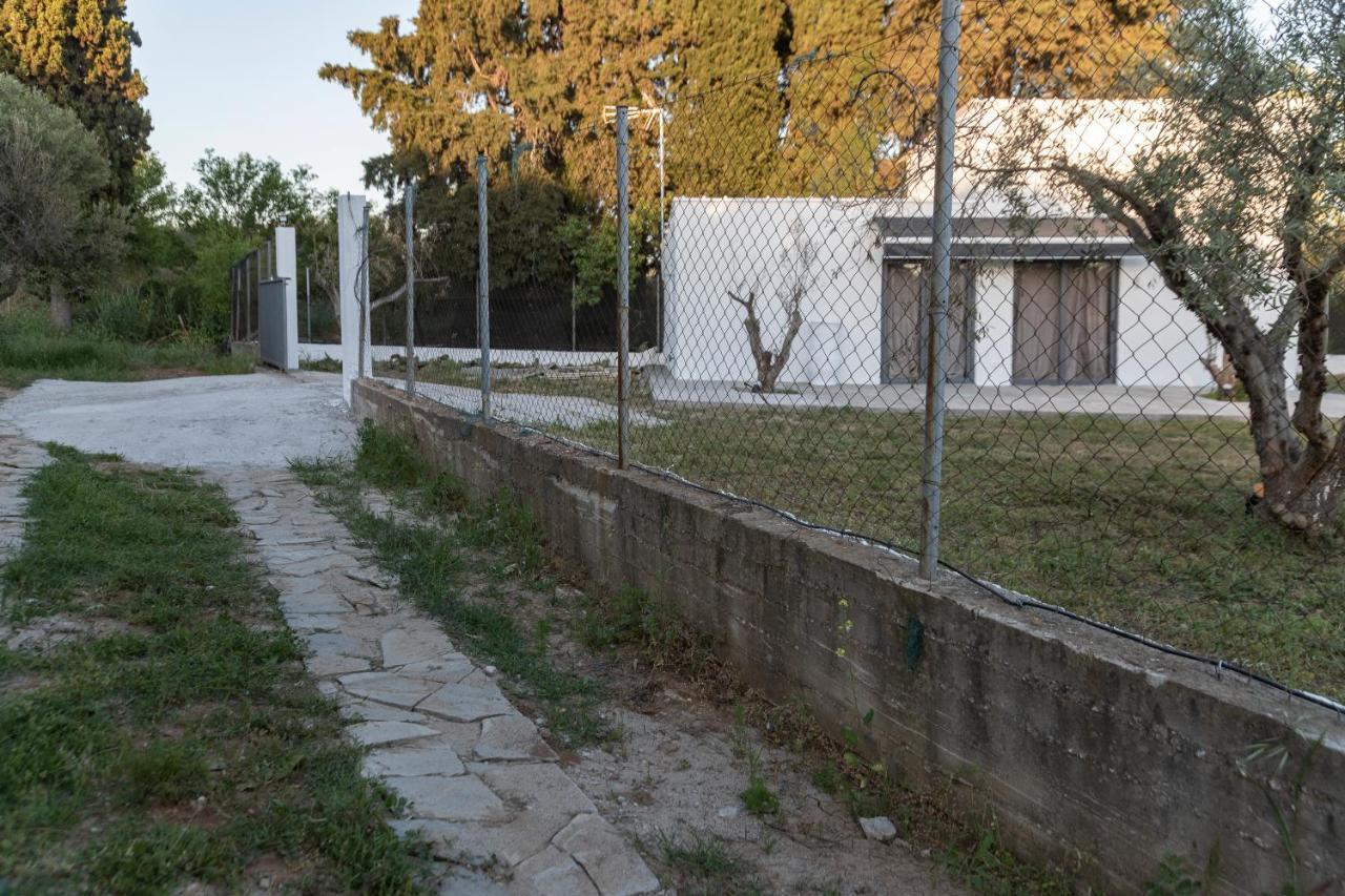 Villa Olive View Loft Dikella Esterno foto